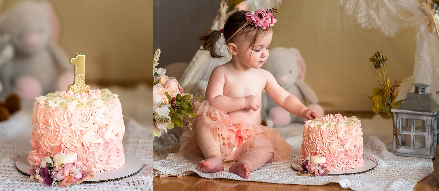 Cake Smash Photo Session Arnold MD