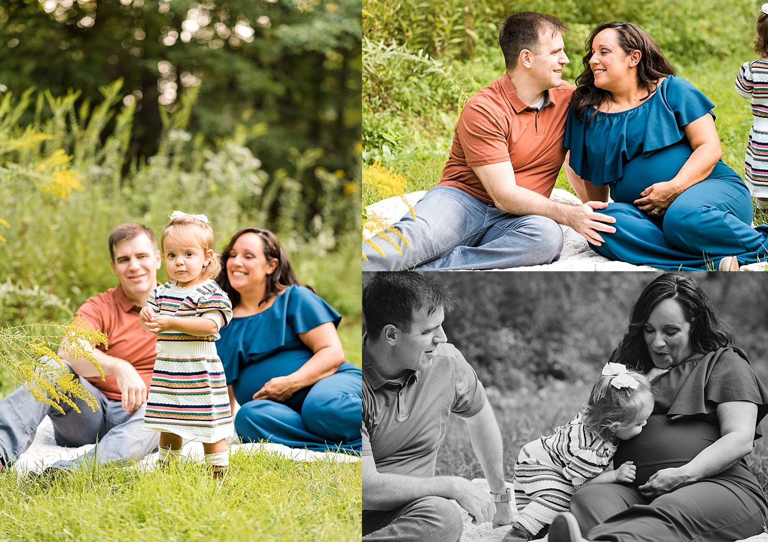 Maternity Photos in the Meadows at Downs Park