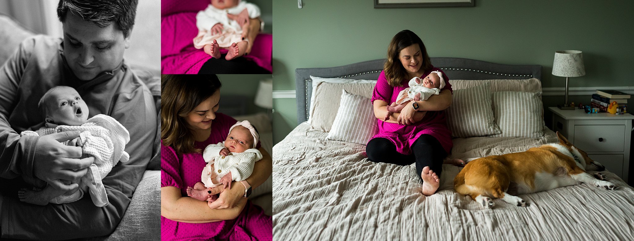 mom on bed holding newborn baby girl with dog on bed