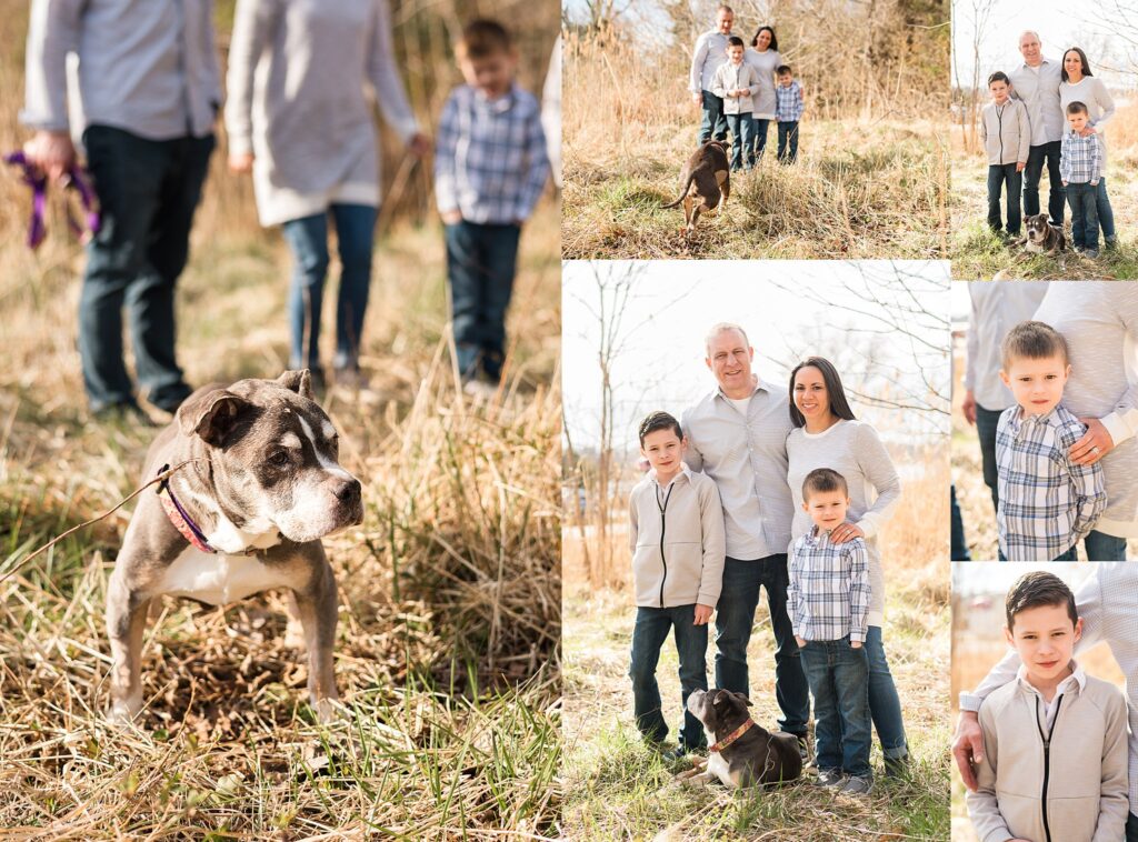 mom, dad, two boys and dog standing in the grass